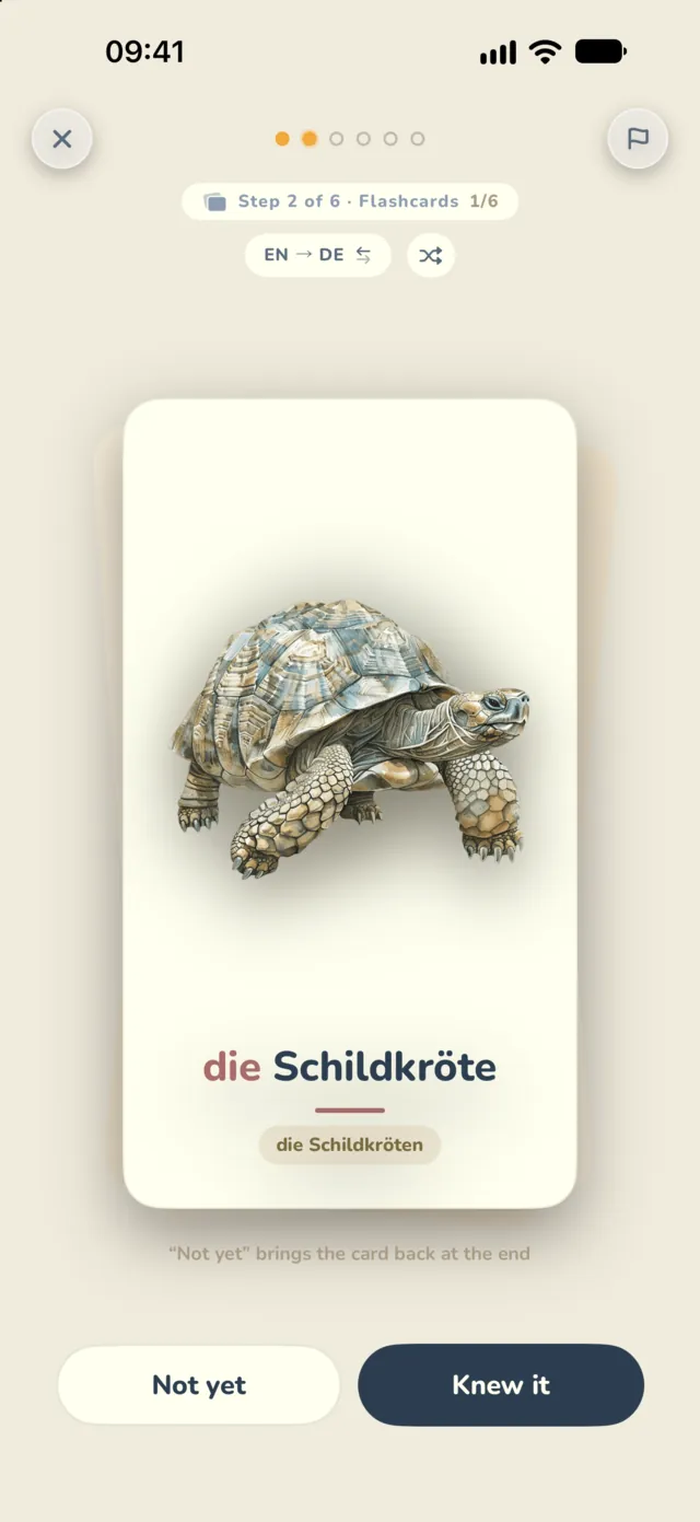 A flashcard: die Schildkröte